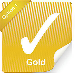 Supporto Gold Manutenzione Applicativo