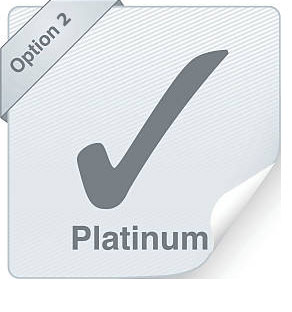 Supporto Platinum Manutenzione e Supporto Applicativo